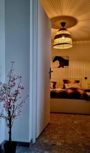 Chambre d'hotes au Haras d'Agathe et ses princes Hotel in Normandy