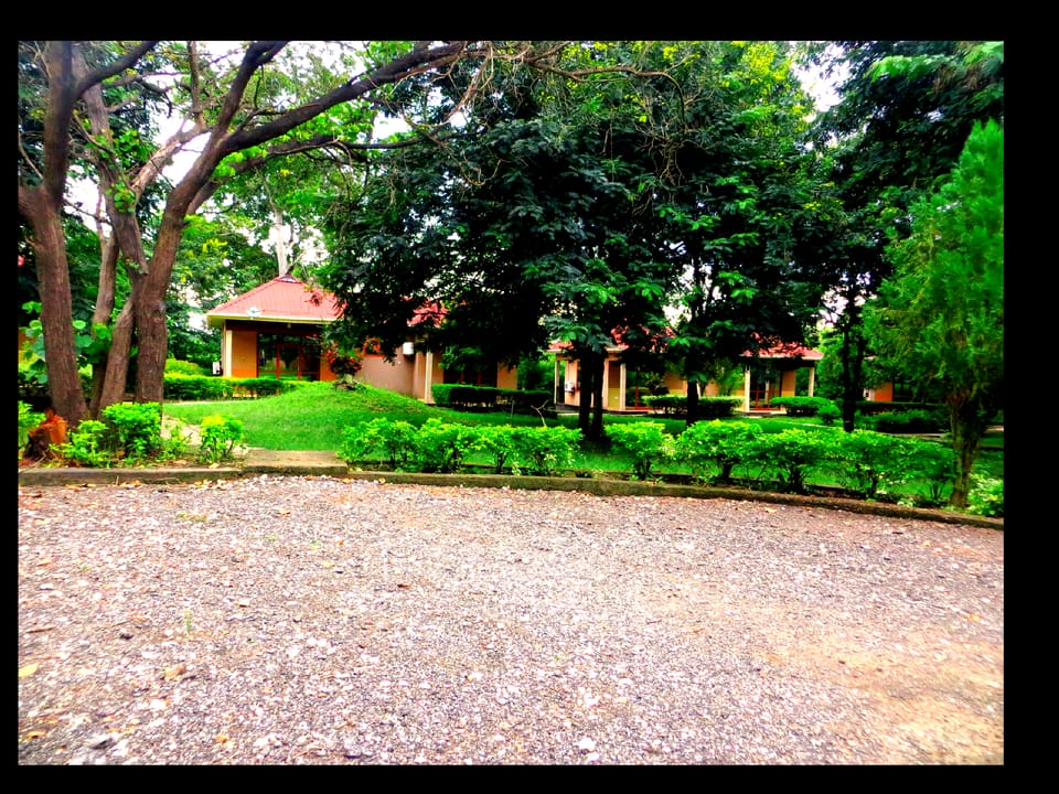 MIKUMI RESORT & CAMPSITE Hotel in Tanzania