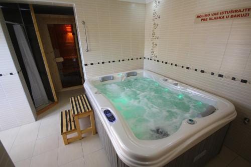 Guest House Vila Alexandar Hotel in Vojvodina
