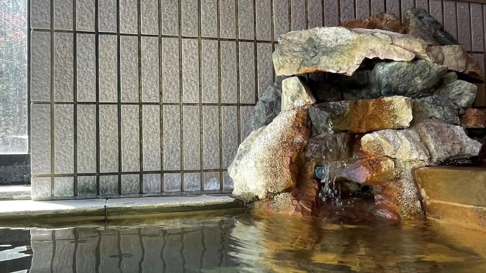 Nakanoyu Onsen Ryokan - Vacation STAY 18794v Hotel in Takayama
