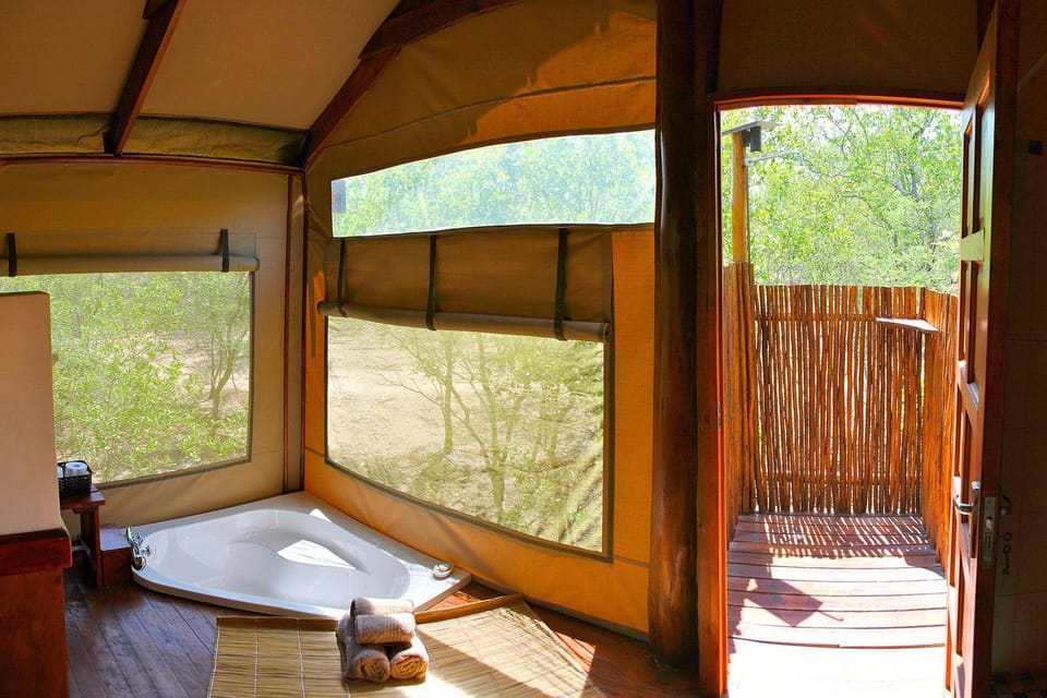 Lion Tree Top Lodge Lodge in South Africa