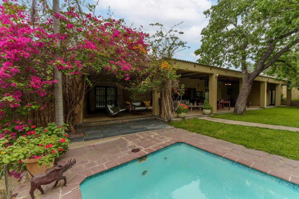 Lion Tree Top Lodge Lodge in South Africa
