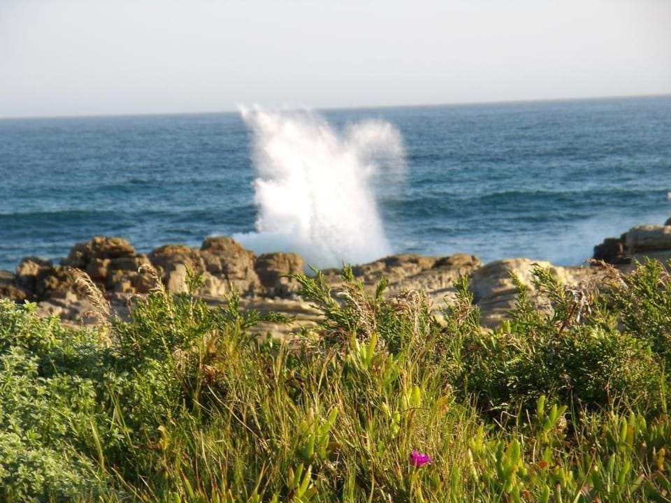 Seals Backpackers Hotel in Eastern Cape