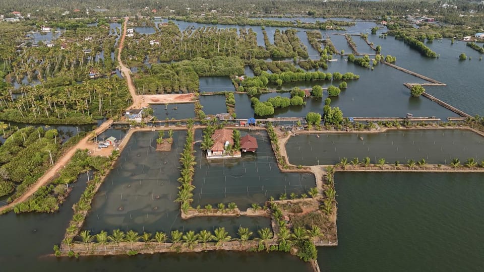 Surrounding environment