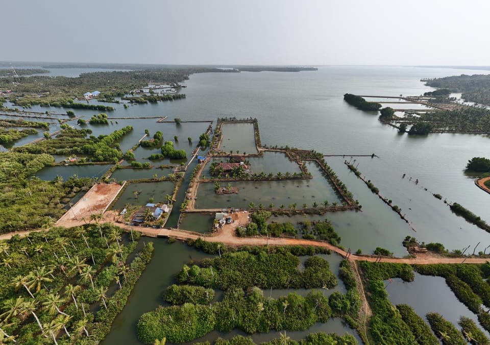 Surrounding environment