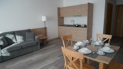 Apartament Aparthotel Passage Hotel in Lithuania