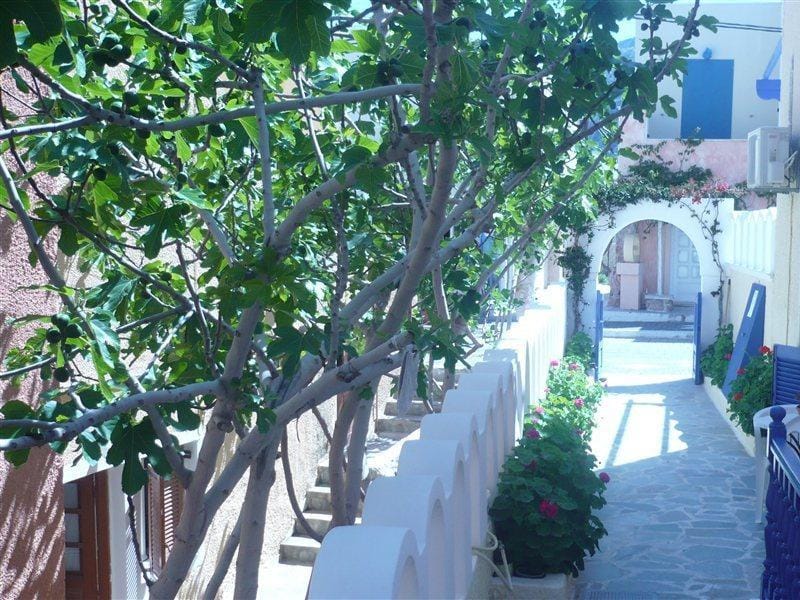 Dilino And Annex Building Hotel in Kamari