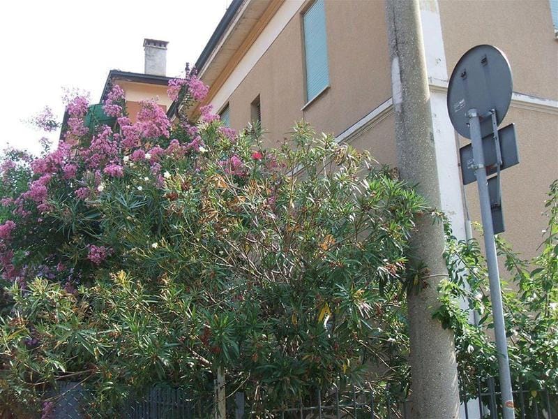 B&B Accorsi Hotel in Bologna