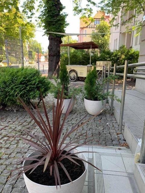 Przystanek Sopot Plaza Hotel in Sopot