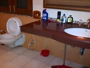 Awadh Inn Hotel in Lucknow