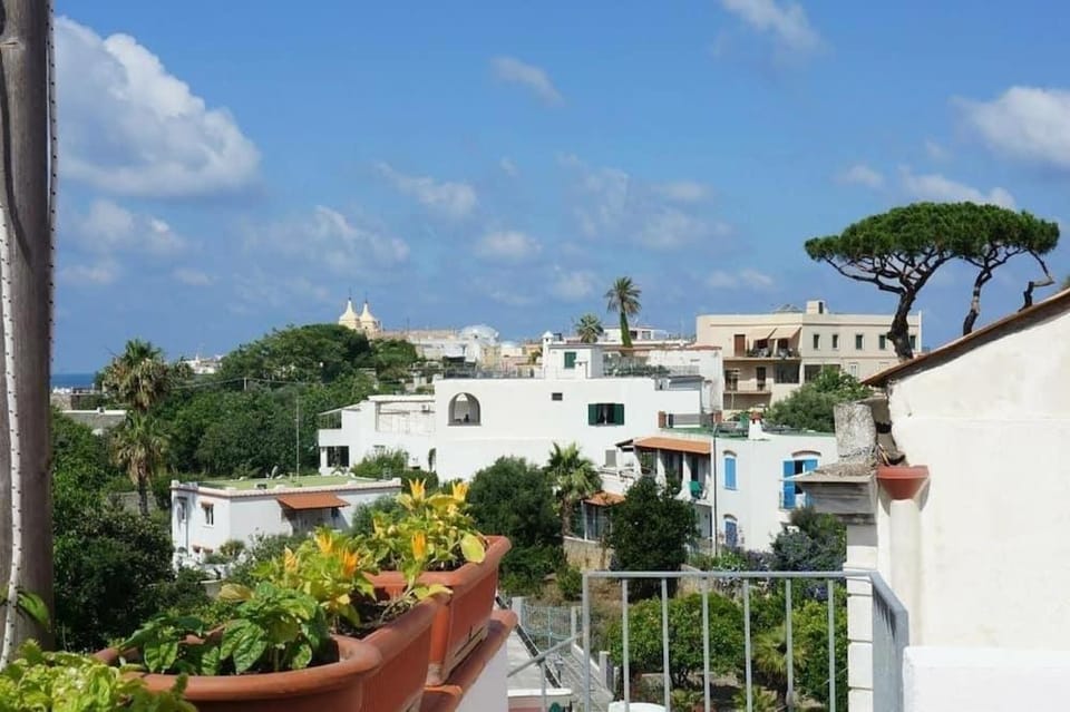 ring hostel Hostel in Forio