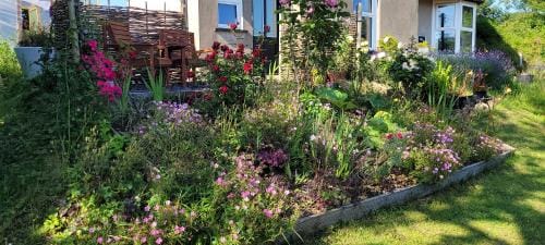 The Manse featuring the Daisy Camrose Hotel in Wales