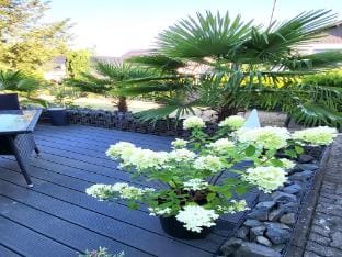 Regal Apartment in Pracht with Garden and Grill Hotel in Rhineland-Palatinate