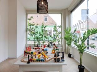 Shared Garden Apartment Retreat Hotel in Vrouwenpolder