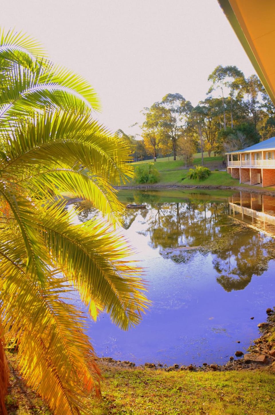 Golf Club Motor Inn Wingham Motel in Wingham