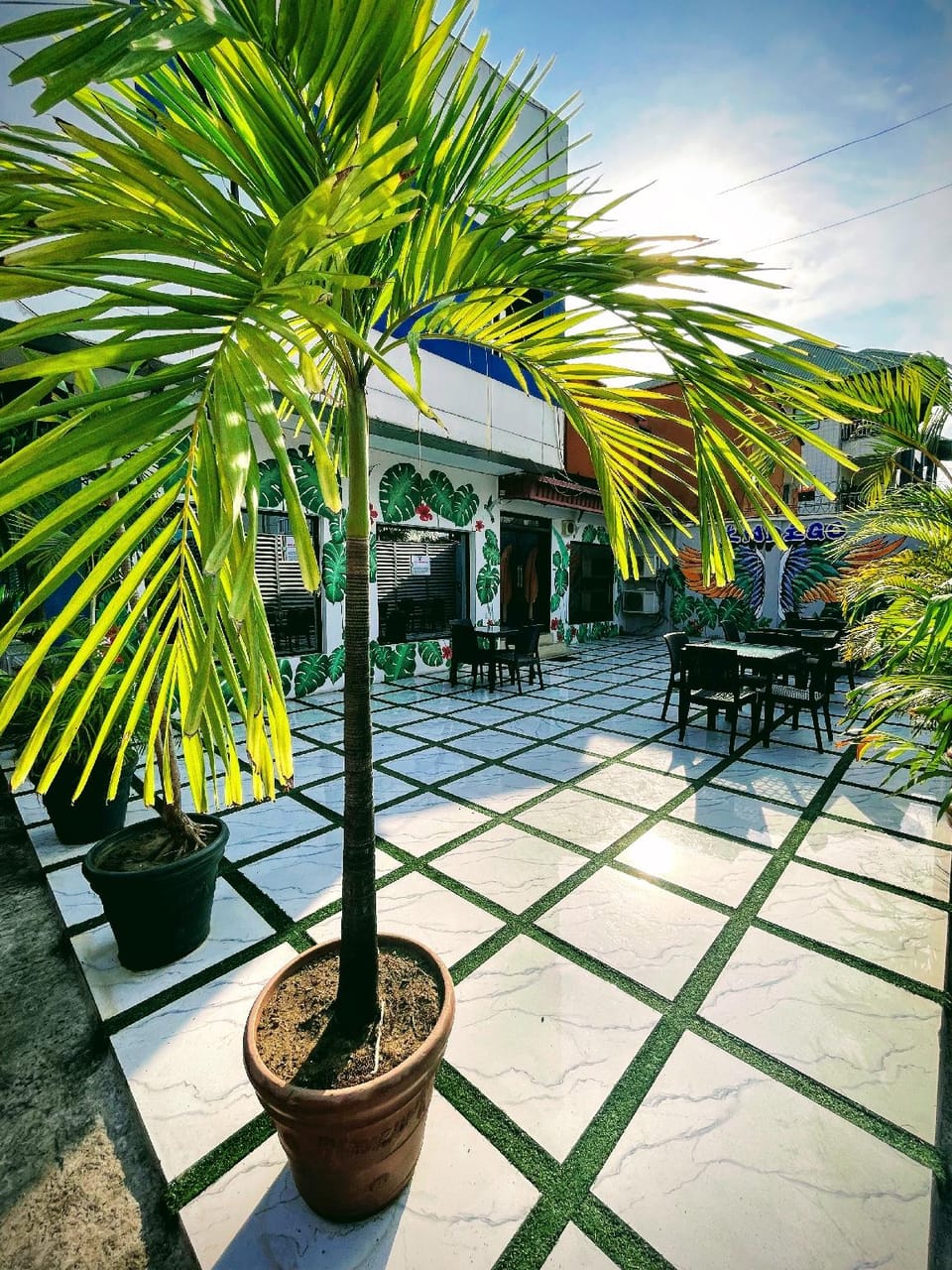 Garden