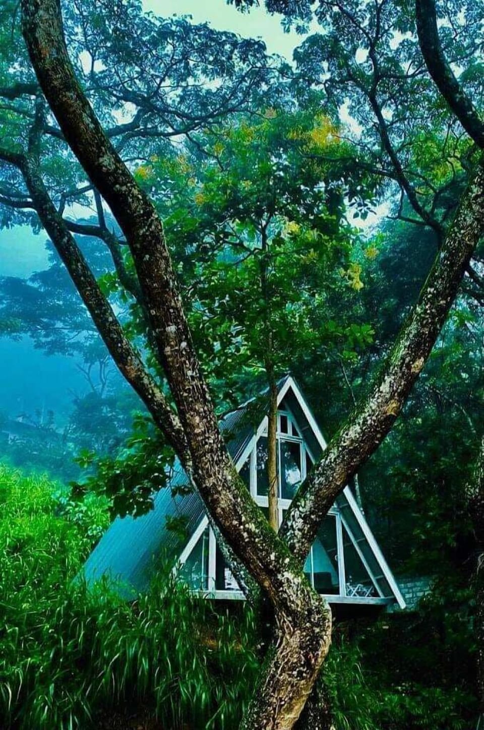 Tree Nature Resort Hotel in Uva Province, Sri Lanka