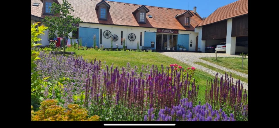 Wellness hotel Boží oko Hotel in South Bohemian Region