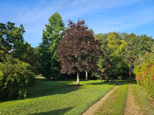 Les chambres d'Estelle Hotel in Centre-Val de Loire