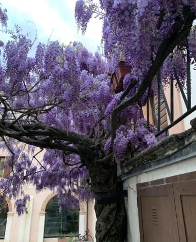 Residenza Angela Hotel in Bassano del Grappa