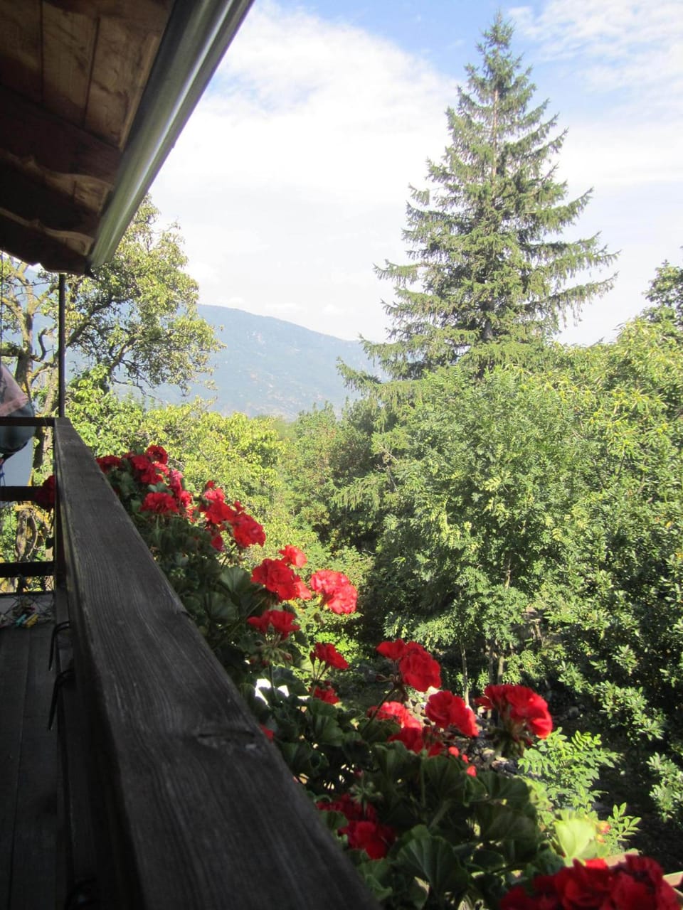 B&B Baita Evelina Hotel in Piedmont