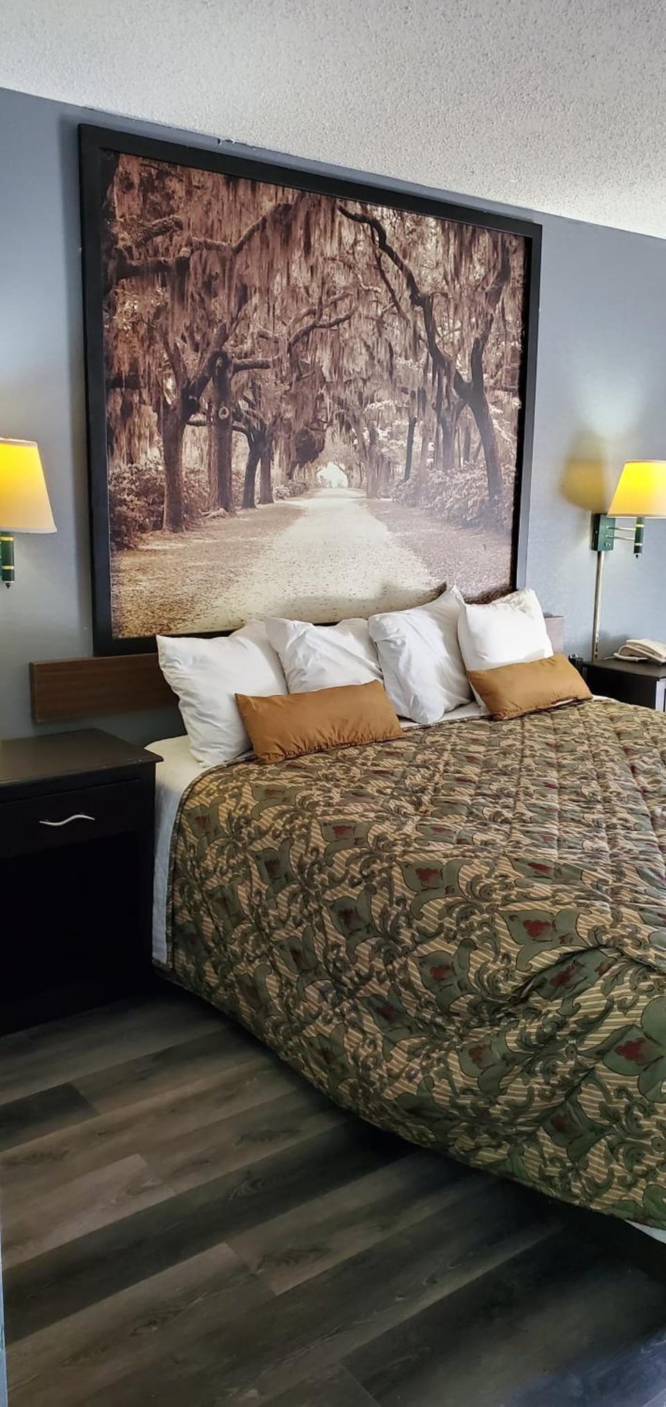 Palmetto Inn Motel in South Carolina