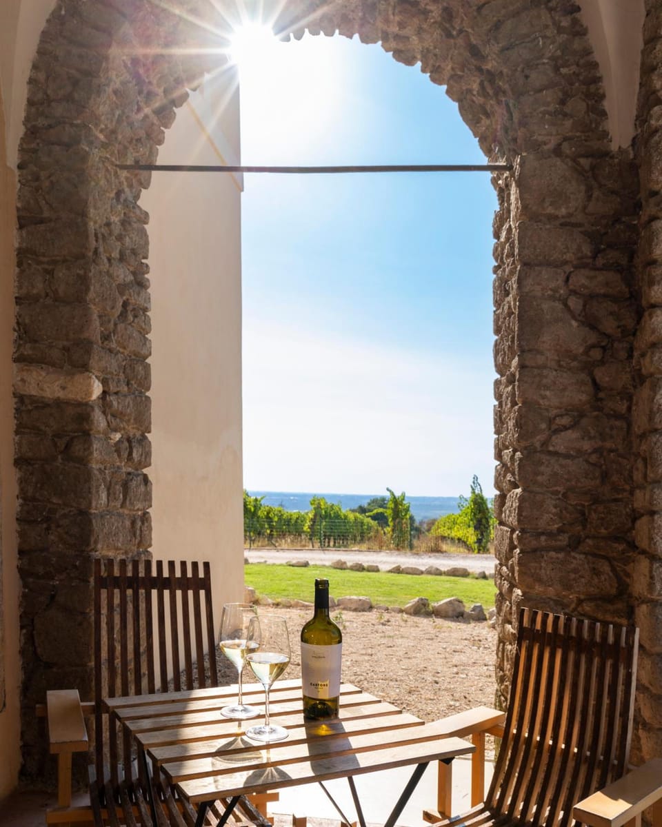 Cincinnato Wine Resort Hotel in Lazio