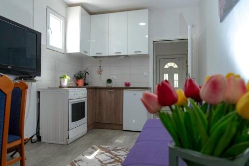 Vila apartment Astorija 2 Hotel in Podgorica