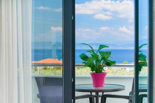 Sofia's Olive Grove Hotel in Thasos