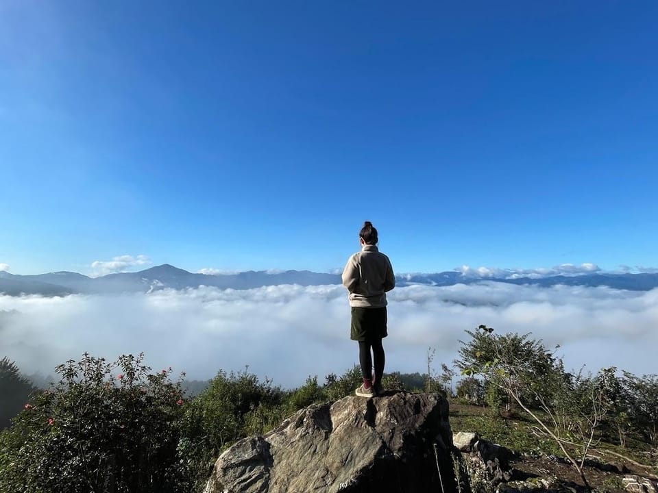 View