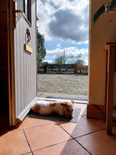 Felicity Cottage, W91 D1W3 Hotel in Wicklow, Co. Wicklow, Ireland