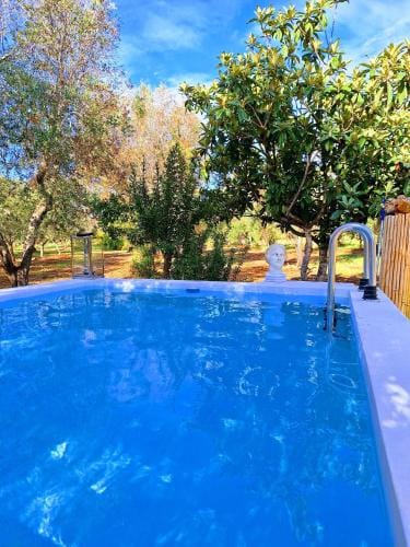 Casa Trullo Bianco-Casa Olive Hotel in Province of Taranto