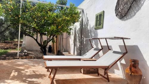 Casa Trullo Bianco-Casa Olive Hotel in Province of Taranto