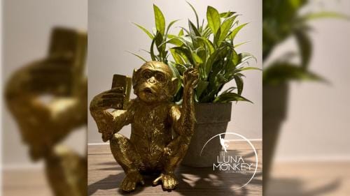 Luna Monkey, Chambre & Terrasse privee, Bourgoin Centre Hotel in Bourgoin-Jallieu