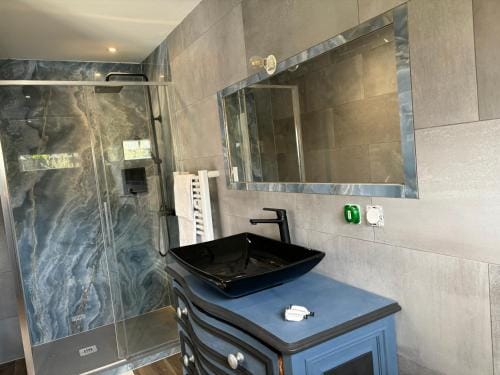 La villa Hotel in Canton of Geneva