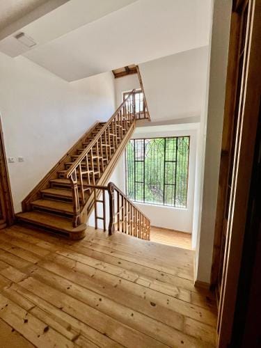 SKYLER VINTAGE APARTMENTS Hotel in Plovdiv