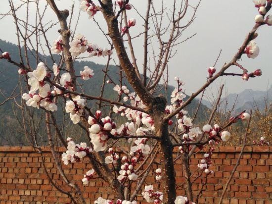 Xiyu Homestay Hotel in Beijing