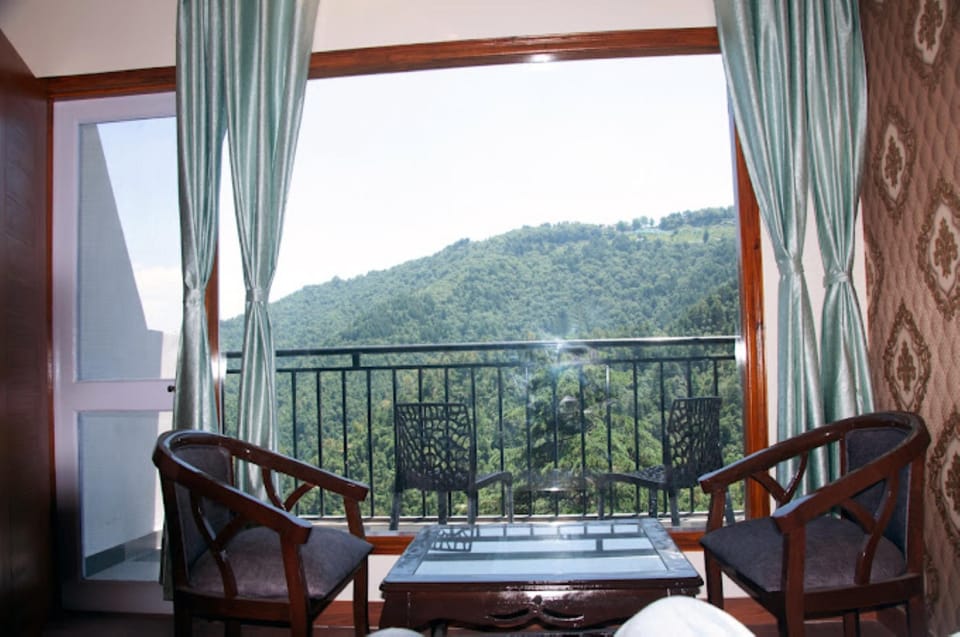 View