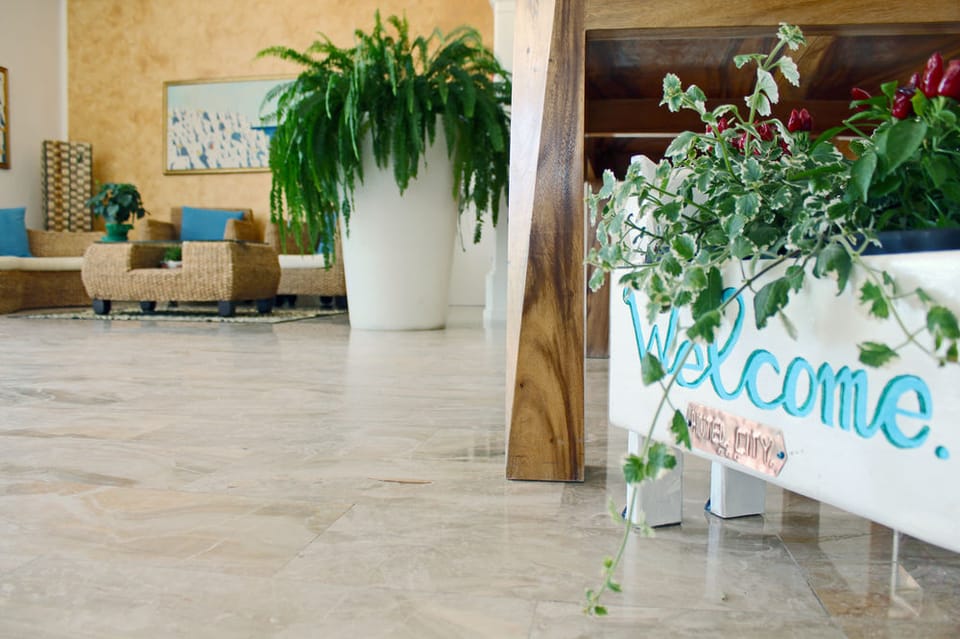 Hotel City Beach Resort Hotel in Milano Marittima