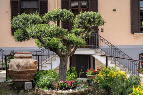 VILLA AGOSTINO LUXURY B&b Hotel in Vico Equense