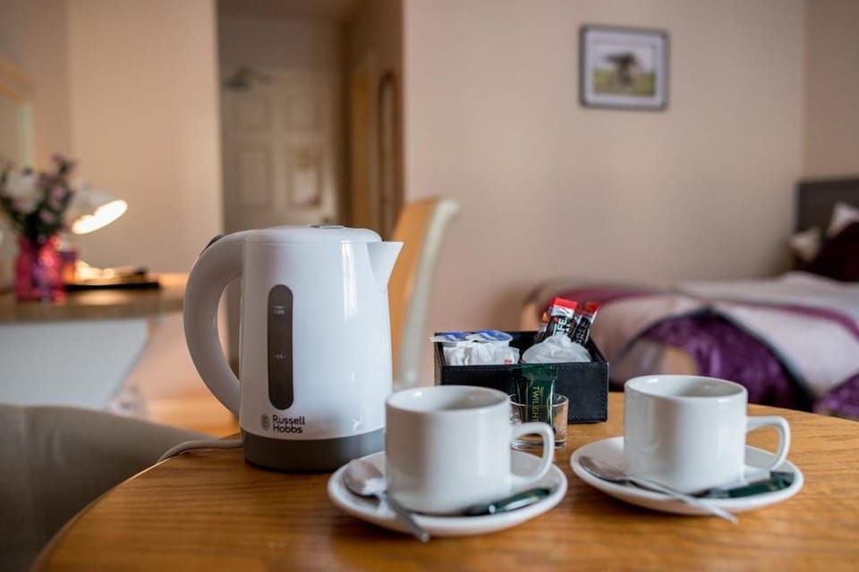 The Ritz House Hotel in County Clare