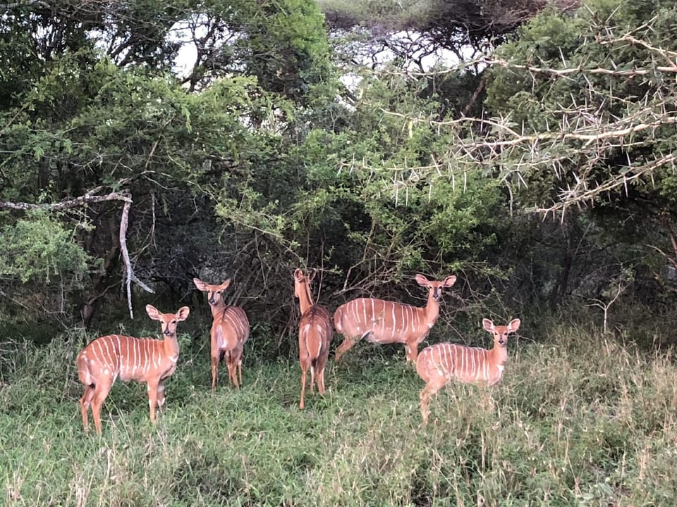 Msunduze River Lodge Hotel in KwaZulu-Natal