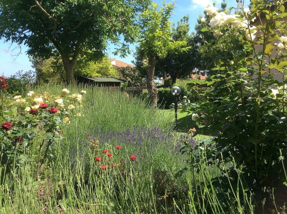 La Primavera B&B Hotel in Volterra