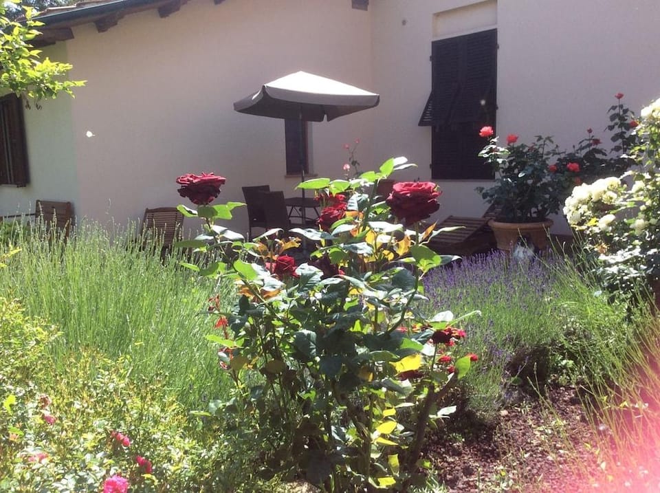 La Primavera B&B Hotel in Volterra