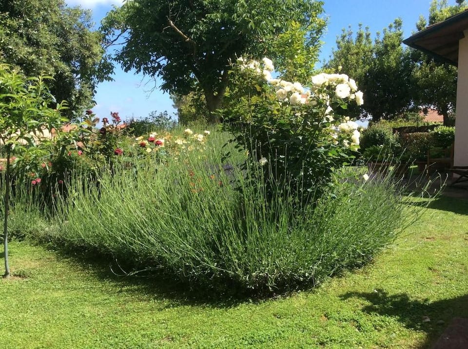 La Primavera B&B Hotel in Volterra