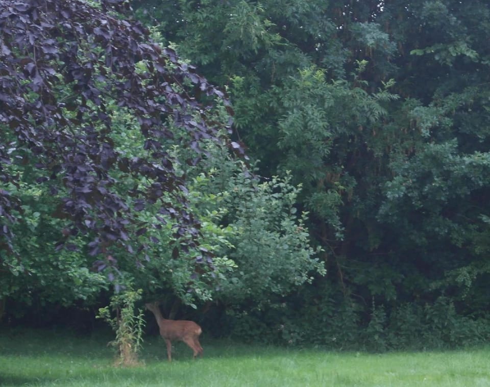 Ringslund B&B Hotel in Central Denmark Region