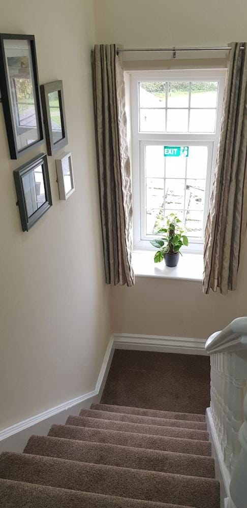 The Ring Pub Bed and Breakfast Hotel in Wales
