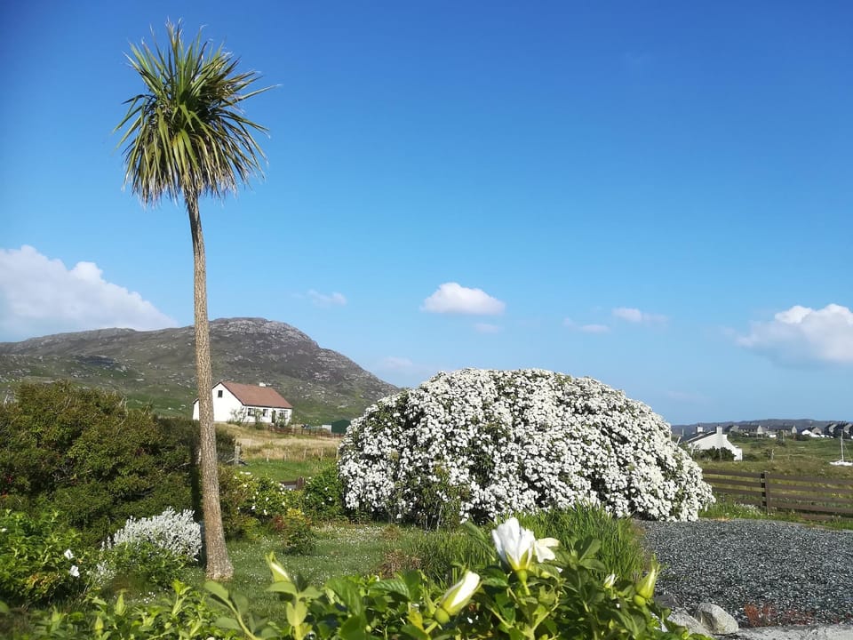 Brae Lea Guest House Hotel in Scotland