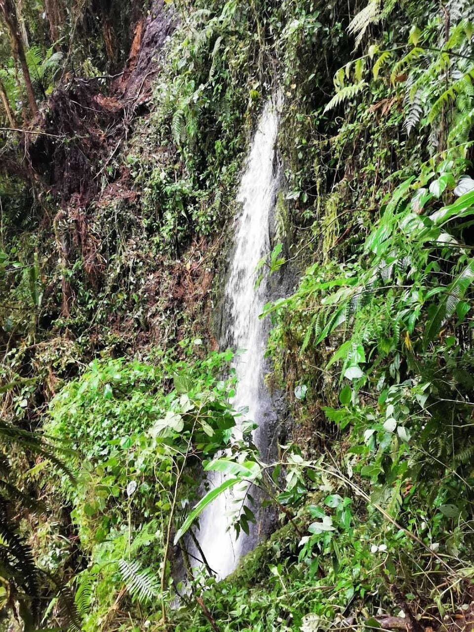Millar de Aves Hotel in Cartago Province, Costa Rica