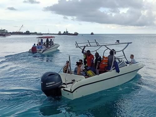 FINS DIVE AND LEISURE HOTEL Hotel in Maldives